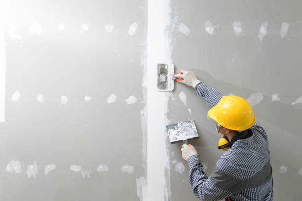 Best Water-Damaged Drywall Repair  in Godfrey, IL